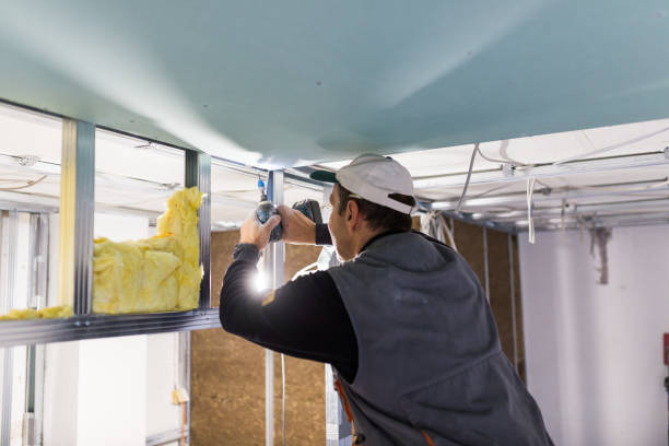 Best Insulation Maintenance and Repair in Lewisport, KY